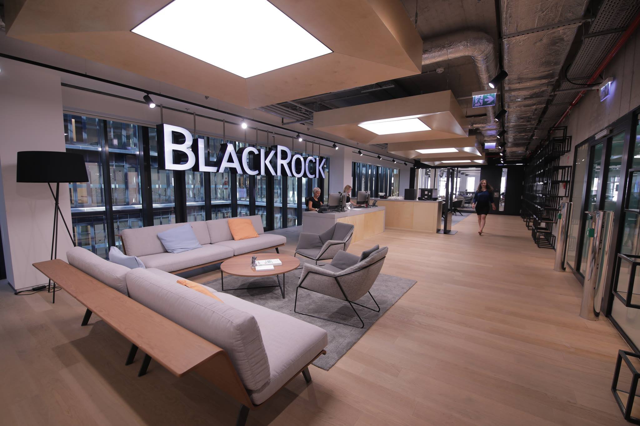 BlackRock kreće u lov na europsku štednju