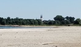 Dunav i Drava rekordno nisko, prijete redukcije vode