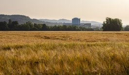NE Krško najavljuje da bi zbog ekoloških ograničenja vezanih uz Savu mogla postupno zaustaviti rad