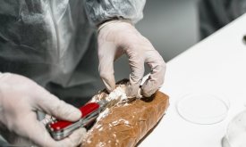 Narko-karteli: Tajne veze Venezuele i Balkana?