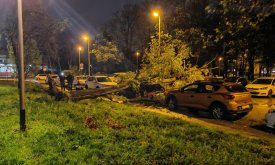 Kaos u Zagrebu, padaju stabla i dijelovi zgrada, promet u kolapsu