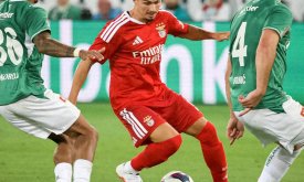 Gattuso želi dovesti Franju Ivanovića