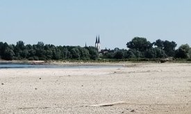 Dunav i Drava rekordno nisko, prijete redukcije vode