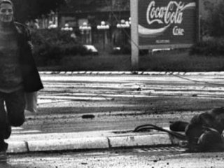 Sarajevo safari: Jezivi detalji o ubojstvima iz zabave