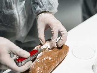 Narko-karteli: Tajne veze Venezuele i Balkana?