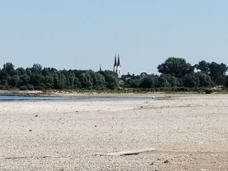 Dunav i Drava rekordno nisko, prijete redukcije vode
