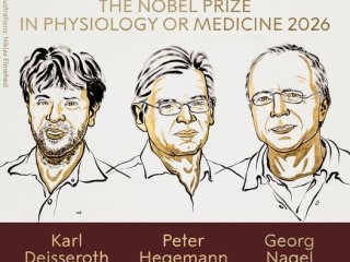 Nobelova nagrada za medicinu dodijeljena trojici znanstvenika za istraživanje moždane aktivnosti