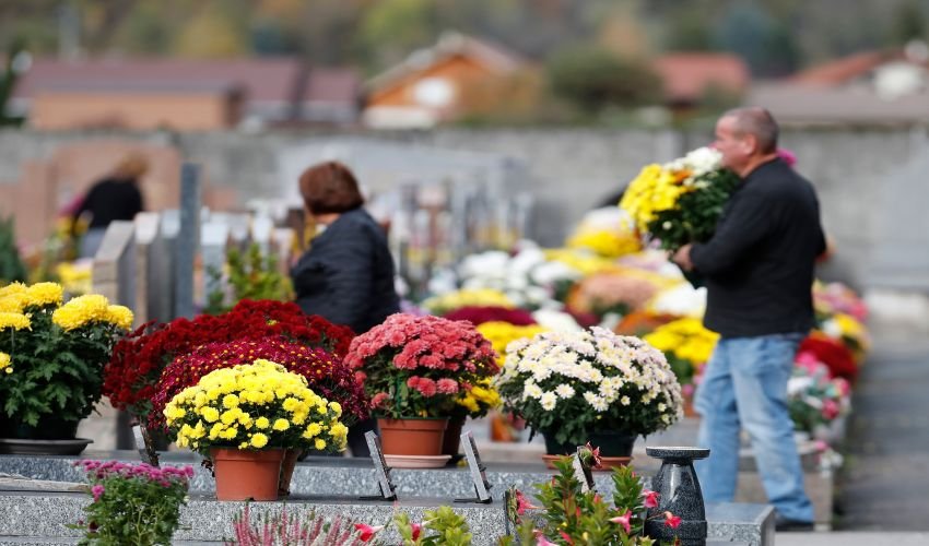 Cvijeće za blagdan Svih svetih skuplje 20 do 30 posto