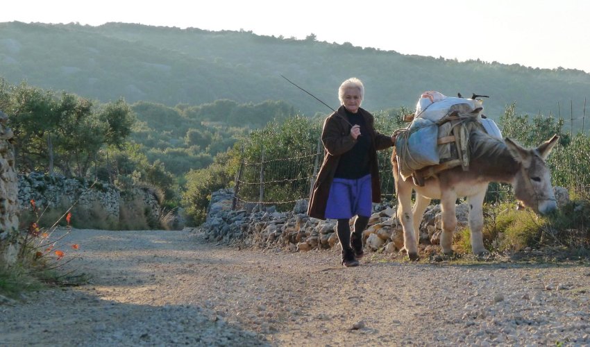 Mjesto u Hrvatskoj u kojem čak 90 posto ljudi ima visoko obrazovanje, najviše je liječnika
