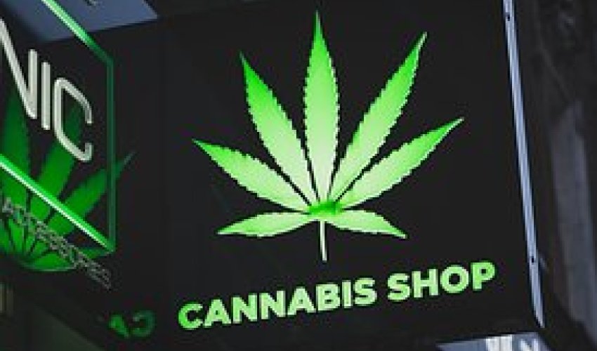 Njemačka najavila djelomičnu legalizaciju posjedovanja kanabisa