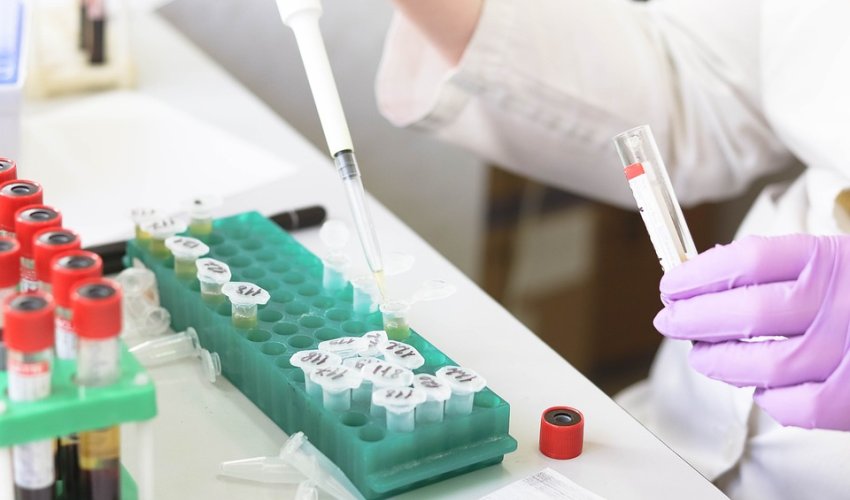 Virusi stari milijune godina pomažu u borbi protiv raka