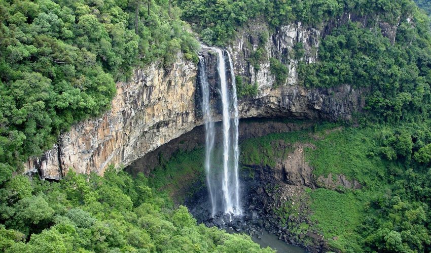 Deforestacija u brazilskoj Amazoniji pala za 31 posto otkako je Lula predsjednik