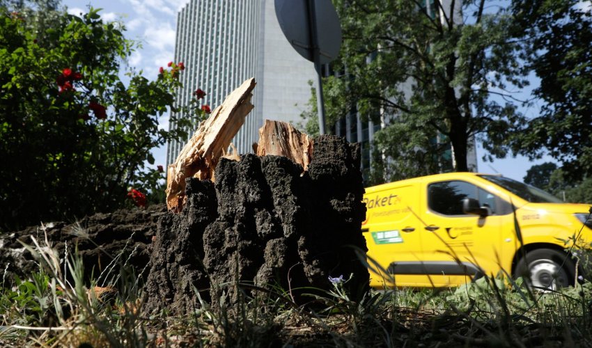 Od četvrtka popodne 410 prijava šteta, otvara se Prilaz baruna Filipovića