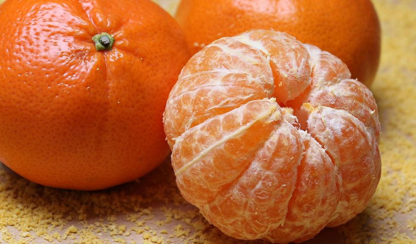 Povijesna berba mandarina u dolini Neretve