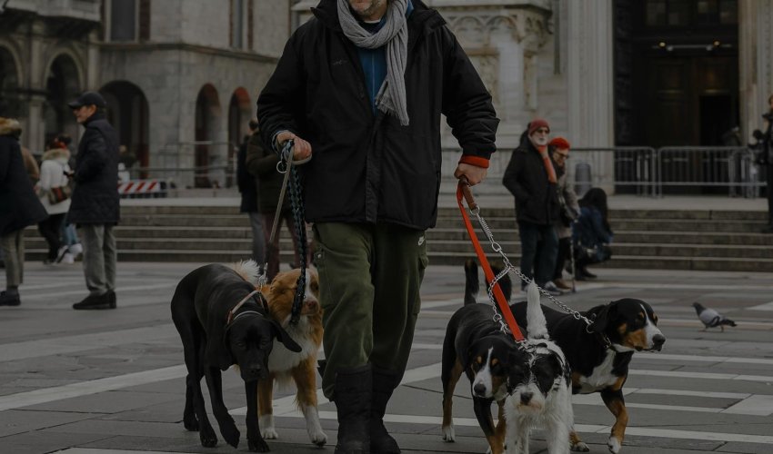 Milano: Ljubimci će se moći pokapati s vlasnicima