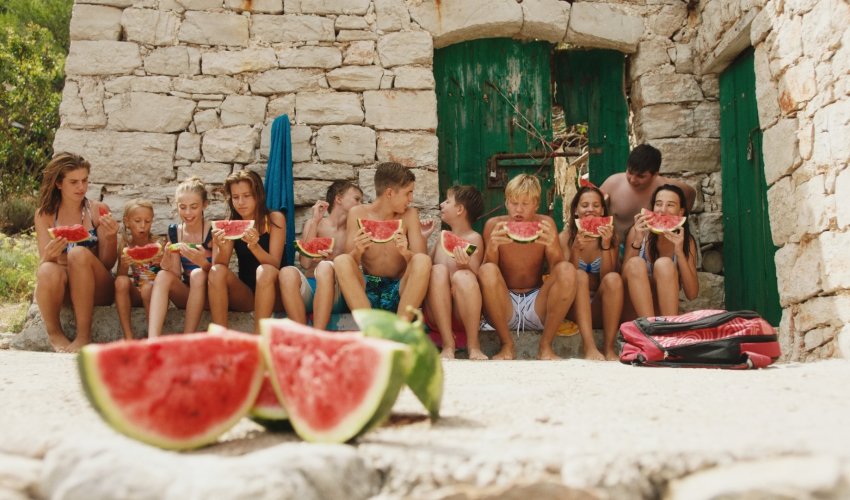 Ovo je pismo zbog kojeg je srpska veleposlanica napustila Pupovčev domjenak