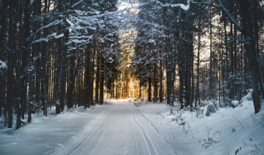 Stiže hladna fronta, snijega će biti i u nizinama