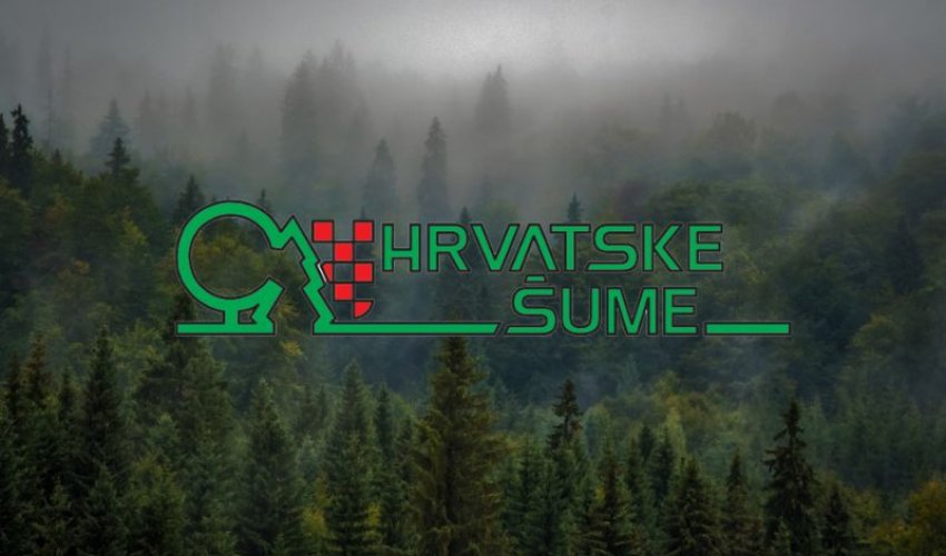 EK istražuje Hrvatsku zbog državne potpore Hrvatskim šumama