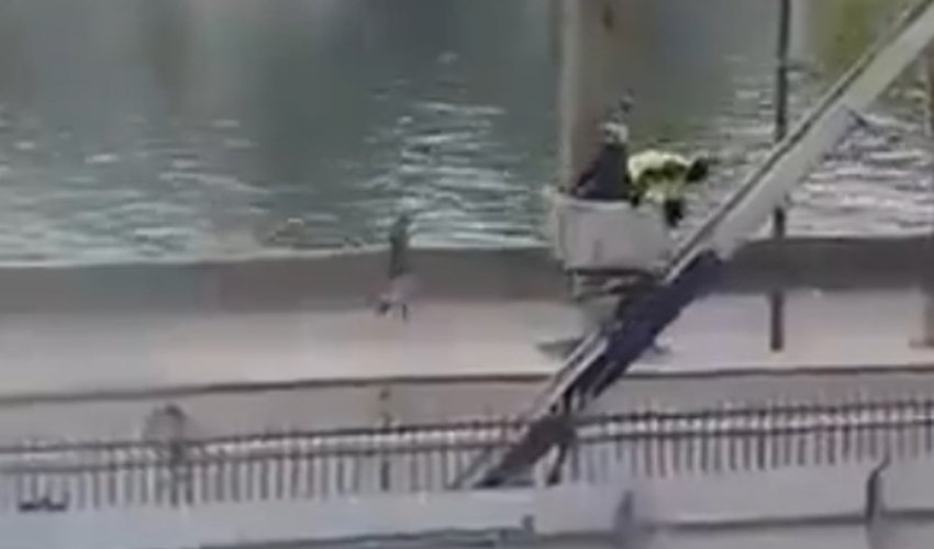 Nevjerojatan bijeg lopova iz Louvrea, pogledajte snimku