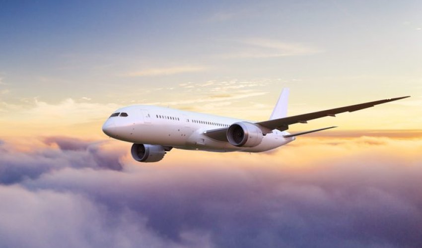 Amerika smanjuje broj letova. Blokada vlade ušla u rekordni dan