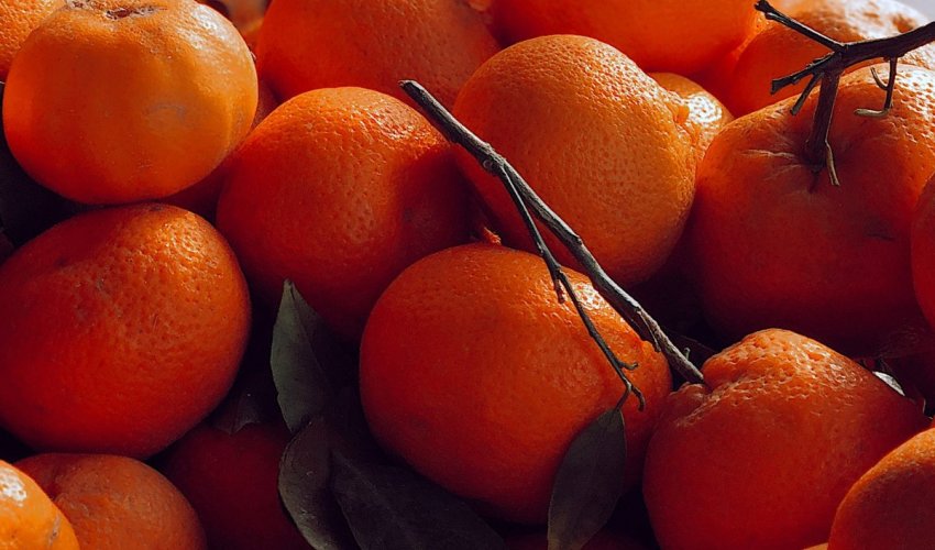 Goleme količine mandarina propadaju zbog niskih otkupnih cijena