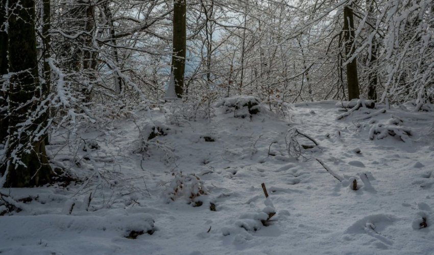 Snijeg počeo padati u više dijelova Hrvatske