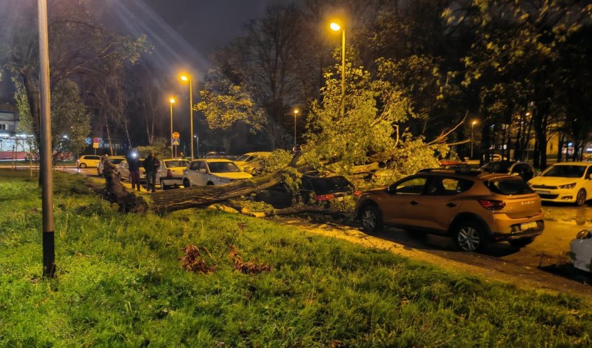 Kaos u Zagrebu, padaju stabla i dijelovi zgrada, promet u kolapsu